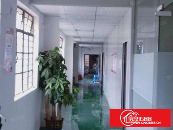 凤岗镇中心永盛大街300一500平米带精装修办公室水电地坪漆