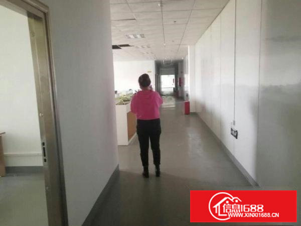 独栋标准汇宁圡结构厂房