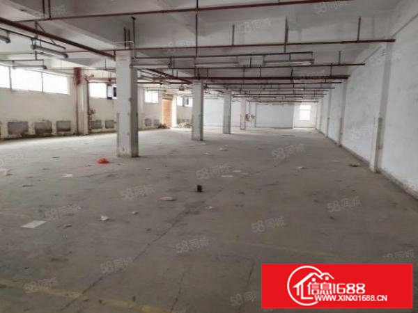观澜新出原房东一楼厂房出租5000平方使用率高空地大