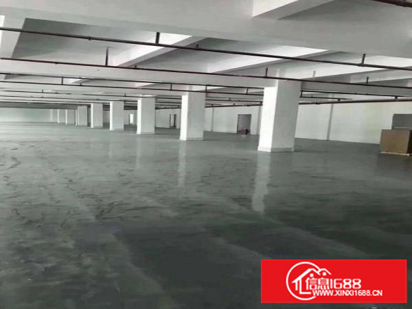 百鸽笼可园厂房300平米