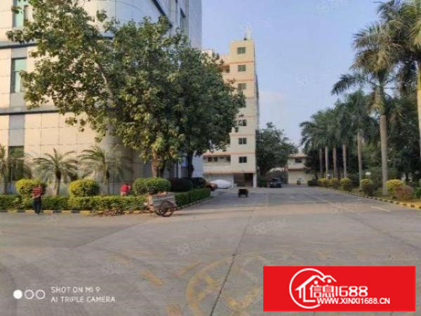 布吉大芬原房东1000平厂房出租大小可分租有红本