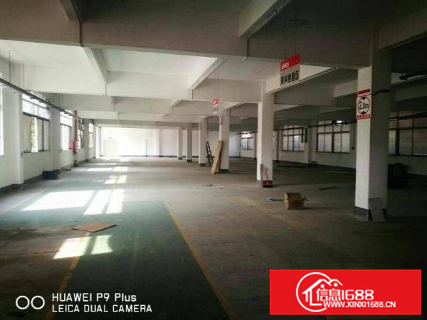 常平镇新出原房东标准单层厂房