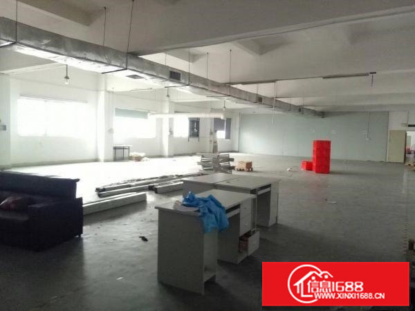 金凤凰工业区新出一楼800二楼1200平带水电装修