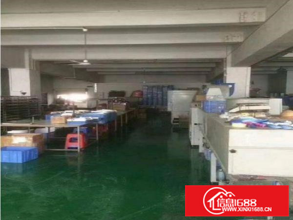 常平岗梓新出楼上800平精装修厂房招租