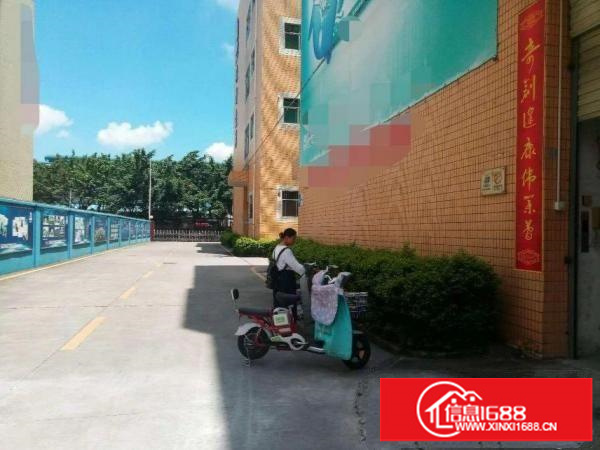 龙华大浪一楼680平标准厂房出租