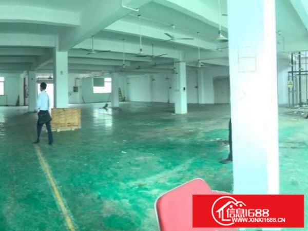 深圳观澜便宜厂房出租交通方便