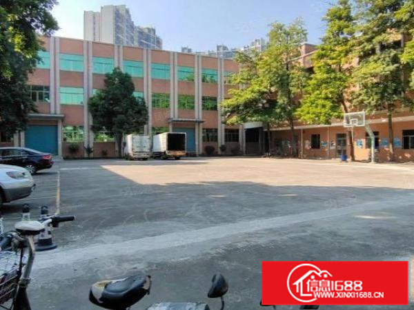 常平镇独院标准厂房出租8000平，原房东，实际面积，靠大朗