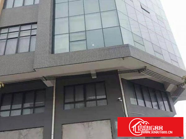 横沥镇新出独院原房东一楼高6米，精装修，可办环评