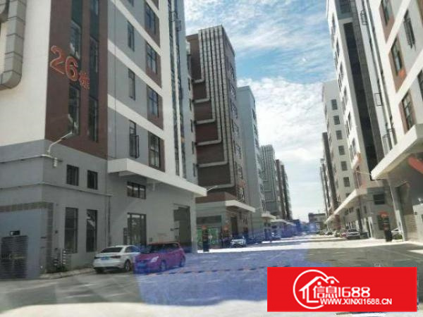 业主信息出租顺德杏坛