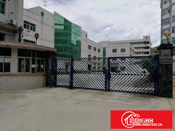 精美独院厂房10000平方