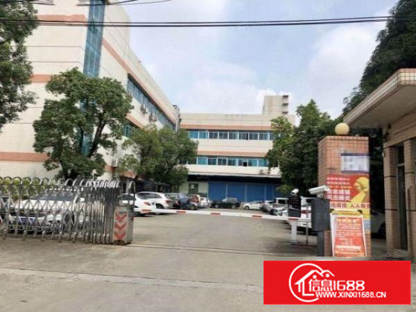 石碣刘屋招租标准独院厂房一楼1200平方，现成装修，办公室！