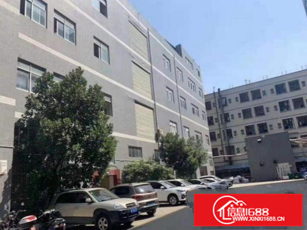 金洲工业区1楼650平带行车公室，车间水电齐全出租