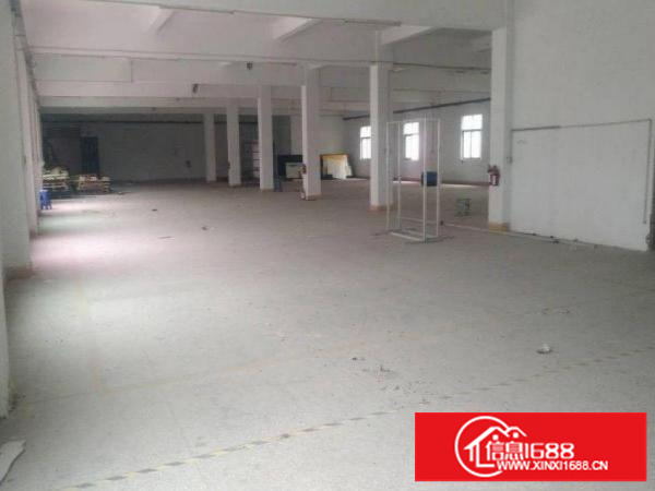 平湖独门独院四层共3600平红本工业用地出租900平起可分租