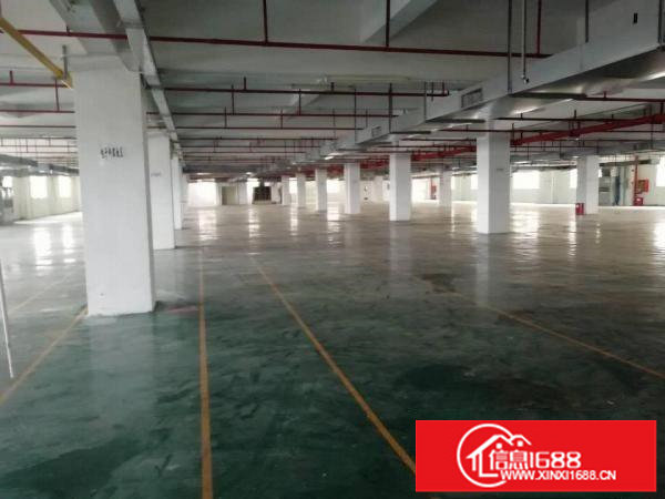 大浪康发科技园即将空出3楼2600平带装修厂房出租