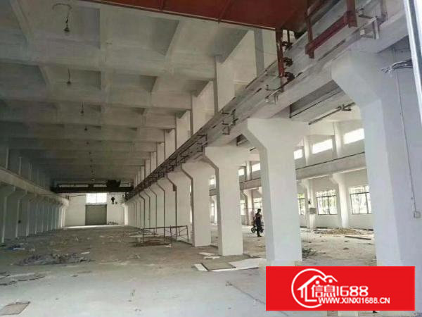 塘厦新出2层重工业独院21858平