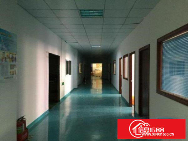 大浪新百丽工业园500~800~2800平厂房出租