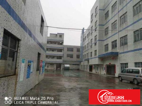 出租坑梓沙田社区独院