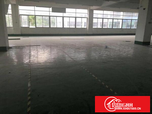 丹竹头东部假日广场附近160平280平500平厂房招租