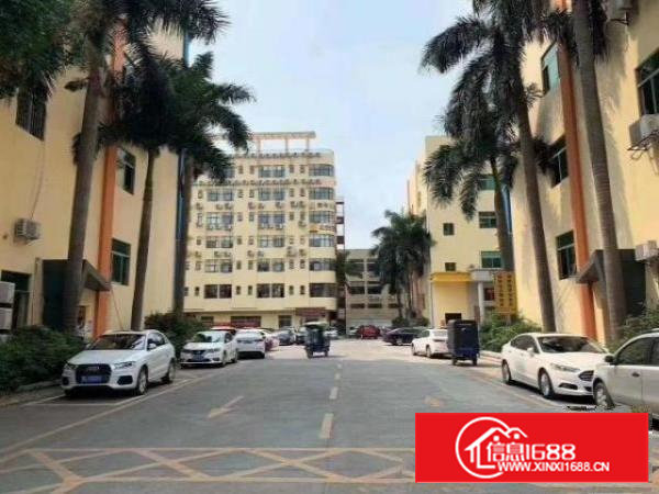 沙井新出全新装修600平米招租