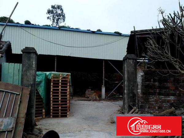 大岭山铁皮房，广阔空地，整体出租