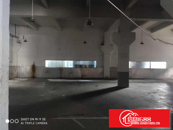 塘厦莲湖一楼厂房出租1000平有牛腿现成模房