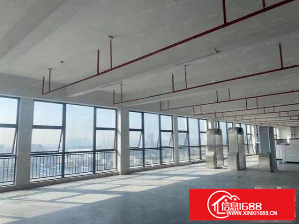 大岭山梅林村红本1040平厂房出租现成消防喷淋