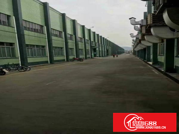 惠阳镇隆原房东10米高钢构厂房6万平米10元可分租