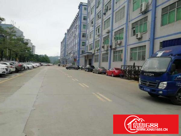 坂田主干道边原房东一楼1350平米诚招电商仓库类客户