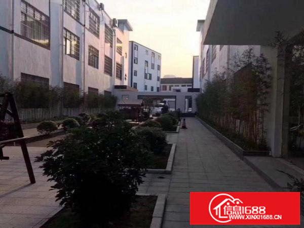 民乐南坑光雅园五和杨美坂田地铁站100平精装办公一楼仓库出租