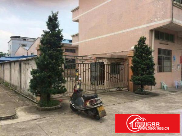 万江简沙洲工业区独院厂房2000平方