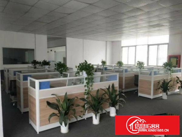 租10块大岭山镇新塘工业园出租楼上1250平厂房带精装修