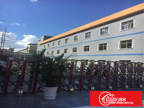 横岗六约社区精典小独院2980平方出租