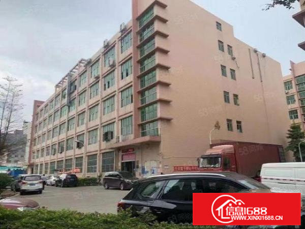 常平新出原房东独院厂房出租一层1500平方精装修办公室好招工