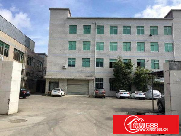 坪山坑梓标准一楼600平米出租，带红本可分租