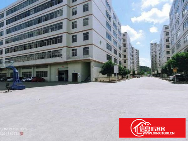 官井头小布实用精装修厂房