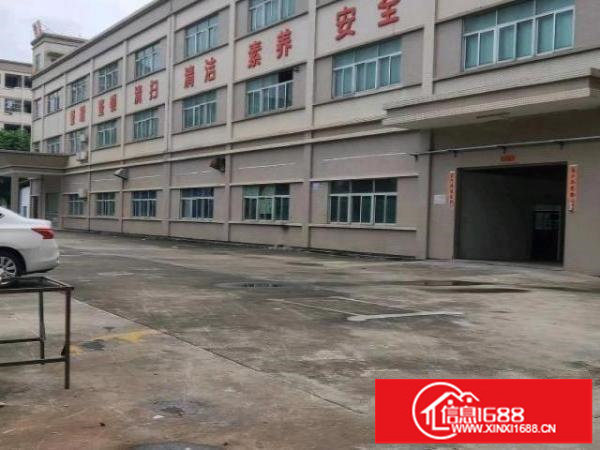 松岗原房独门独院厂房