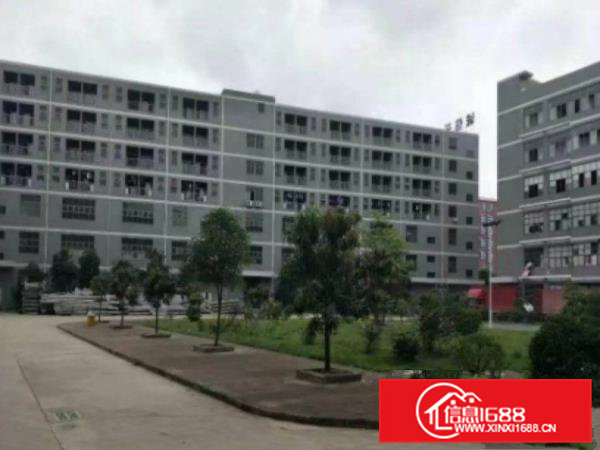 桥头山和一楼1100平厂房带现成装修出租，水电齐全