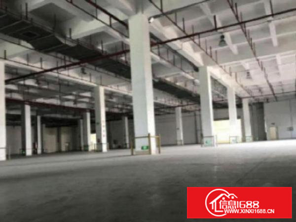 高埗出租一楼面积1500平方，首层高7米，带牛角位，有消防