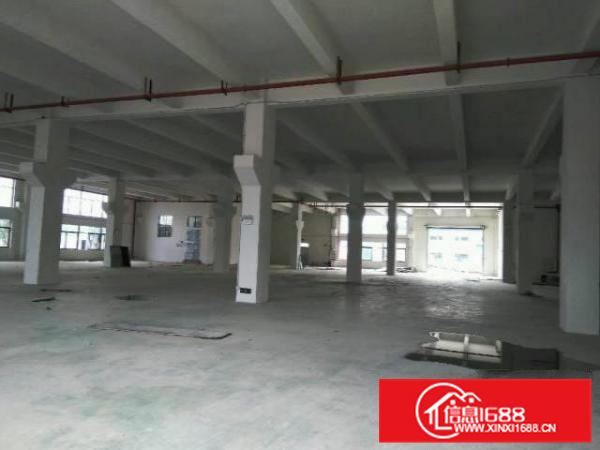 全新独栋独院厂房出租