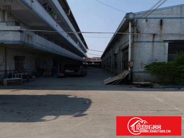 企石工业园10栋钢构厂房12800平出租可分租