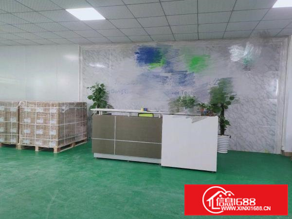 清溪三中工业园二楼1100平豪华精装修，可分租