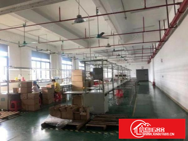 桥头镇原房东独院实际面积出租4300平可分租