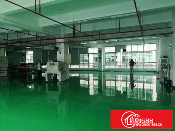 金凤凰工业区楼上厂房600方，带豪华办公室刷地坪漆拎包