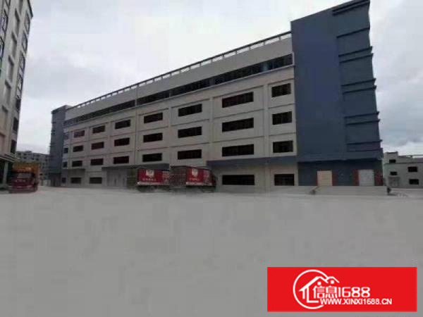 镇隆原房东新出厂房大工业园30000平方米可整租也可以分租