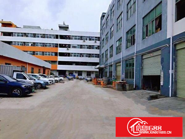 横岗四联厂房一二楼各800平大小分租层高5米可进17米货柜