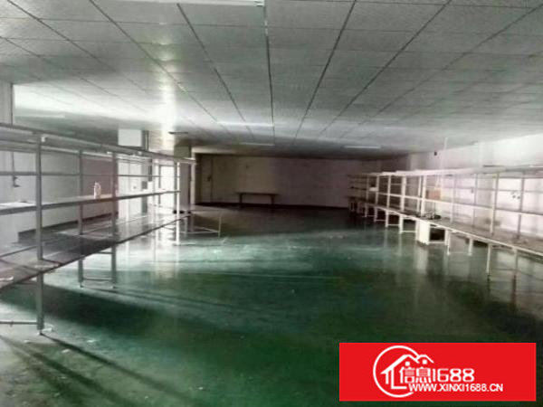 同乐深汕路边独院3层5000平原房东厂房形象超好