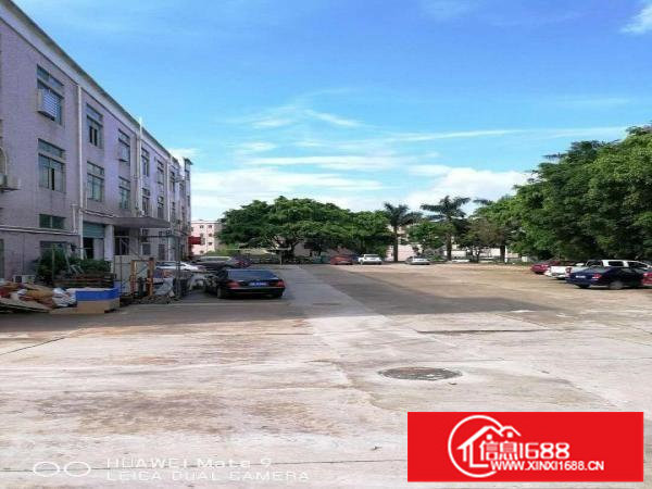 龙岗新生三楼550平清盘价空地1000