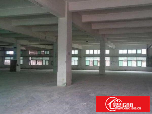 桥头屋厦独门独院三层厂房4800平出租可分租