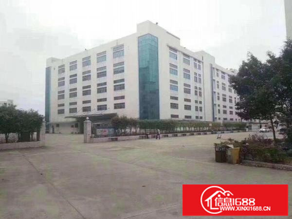 沙井新出一楼3660平带装修无转让费厂房招租