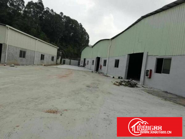 惠阳秋长钢构厂房1800平方出租，滴水7米